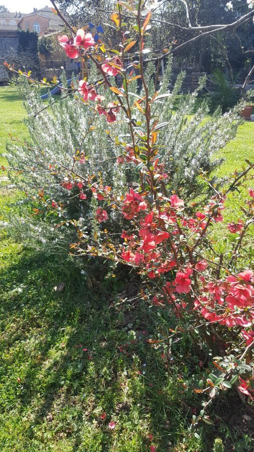 Chambre L'Orchidee Vallon-Pont-d'Arc Ngoại thất bức ảnh