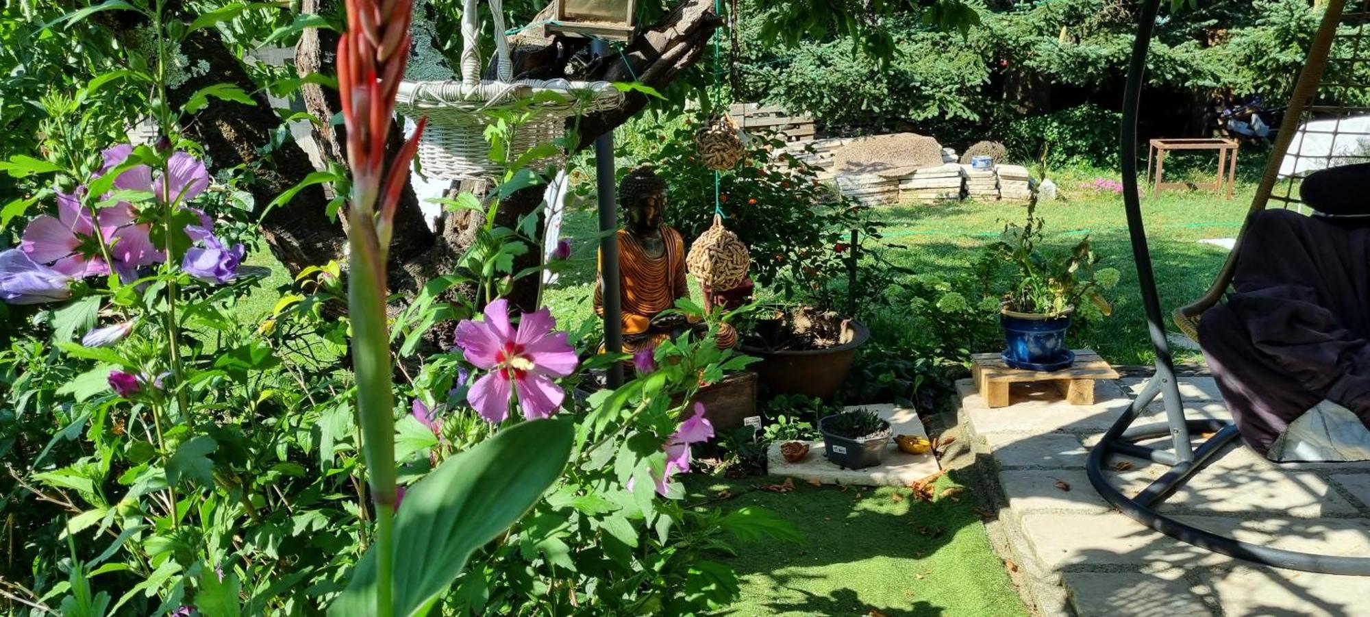 Chambre L'Orchidee Vallon-Pont-d'Arc Ngoại thất bức ảnh